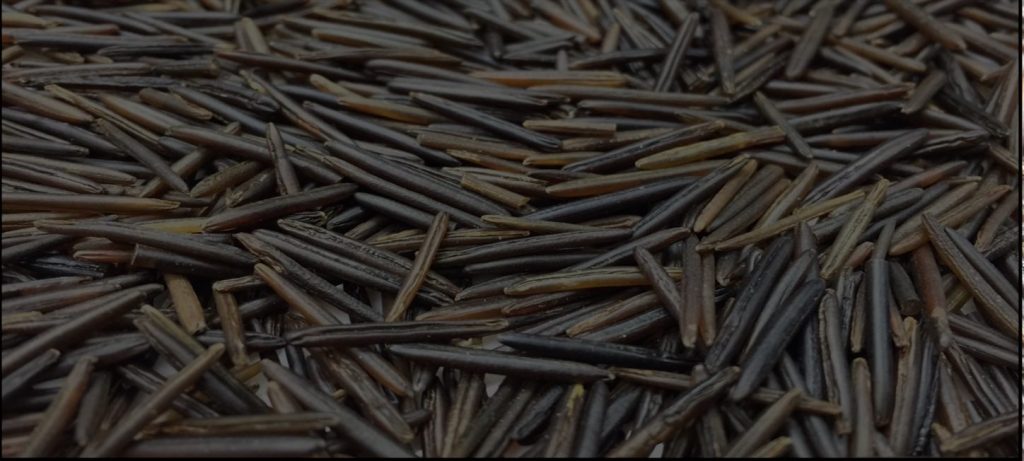 Great Northern Wild Rice